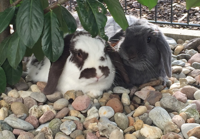 Ping Pong and Einstein 1