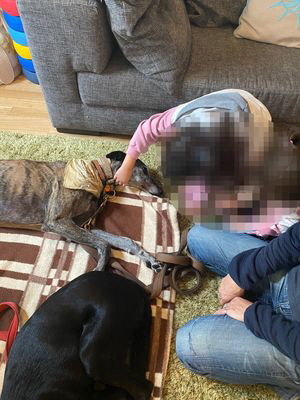 Elisabetta (7) - Kopie